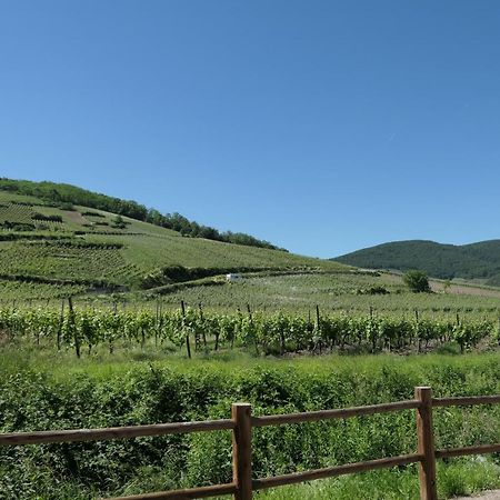 Au Petit Paradis Амершвир Екстериор снимка